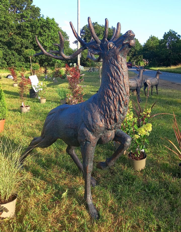 Majestic stag at sunset