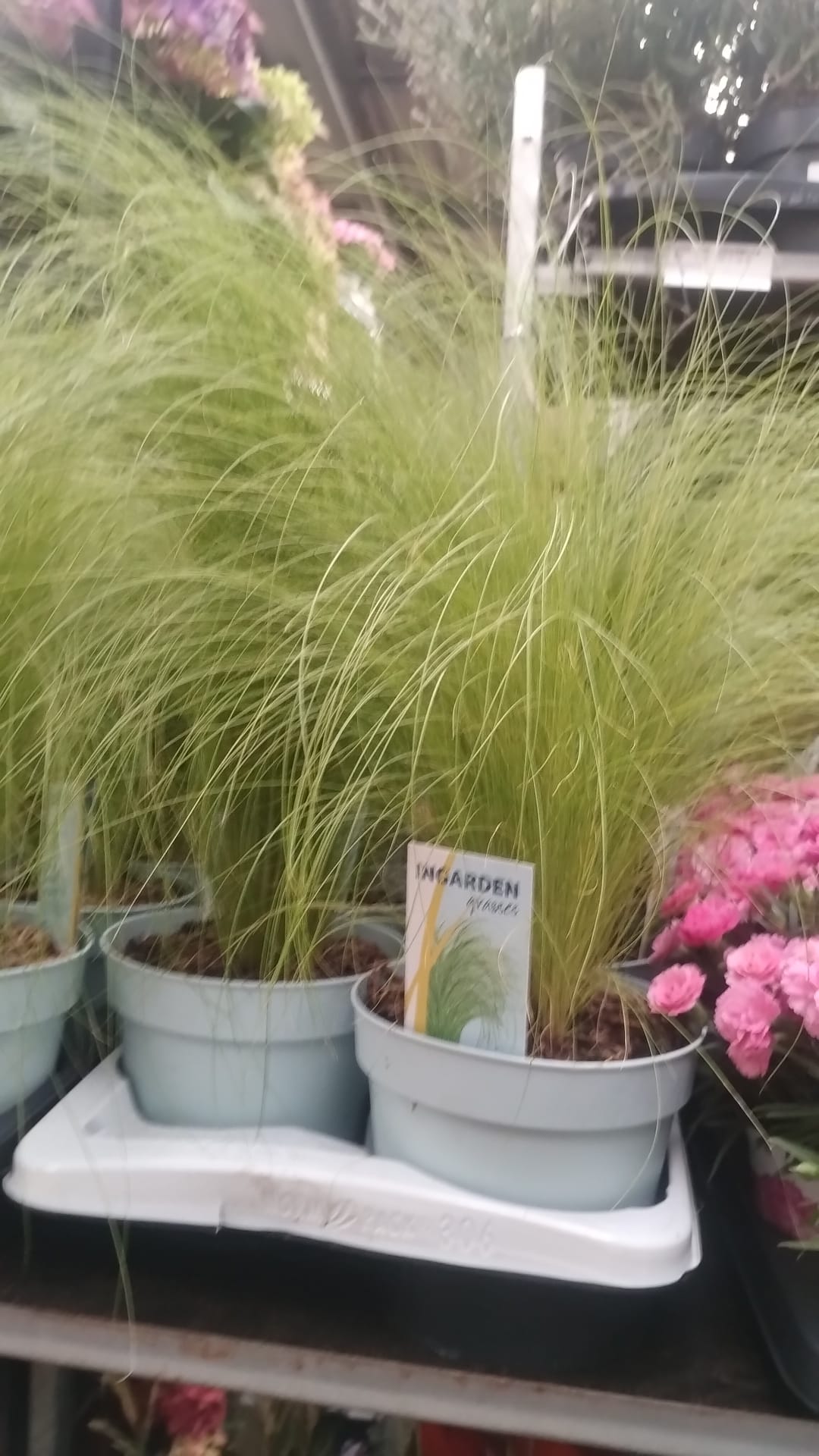 Traditional garden ornament