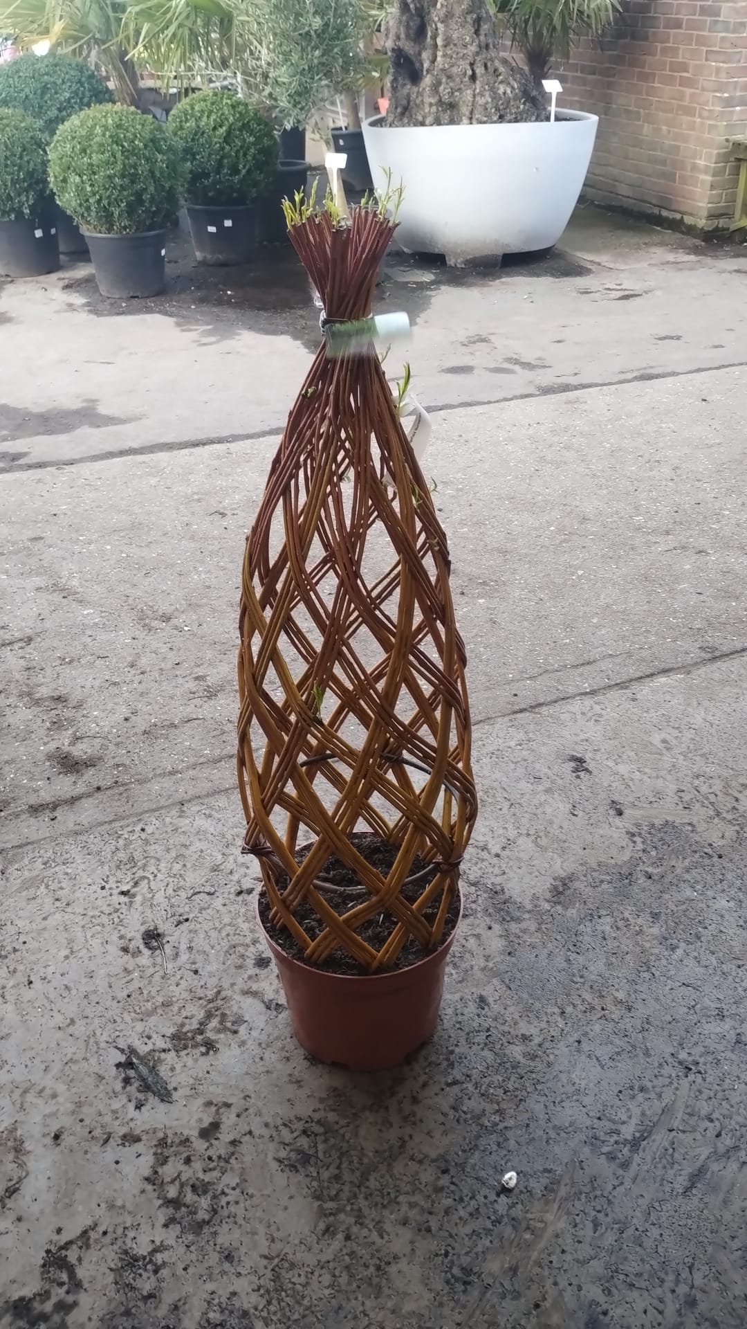 Willow Structures - Image 2