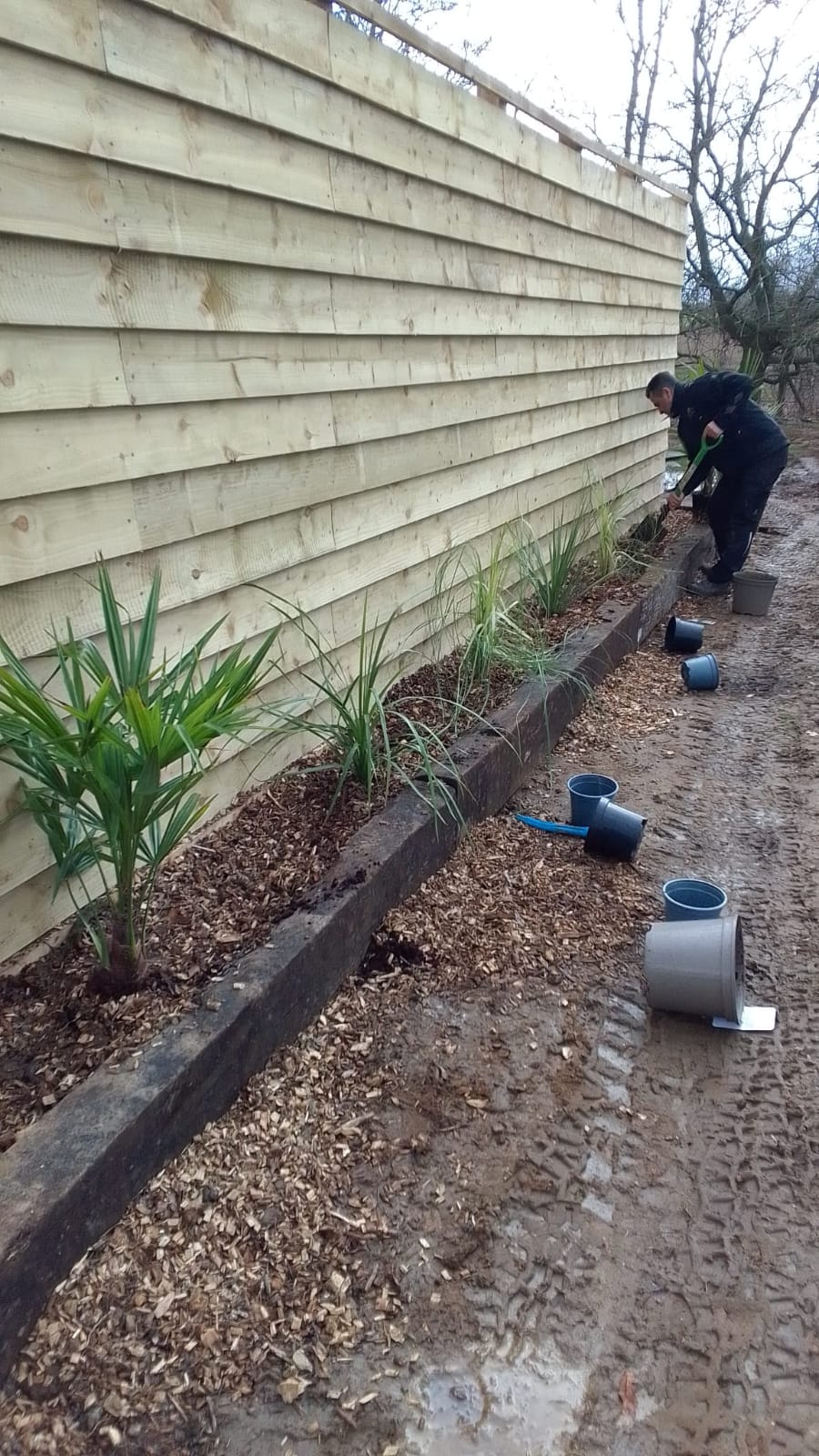 Garden Transformations - Image 3