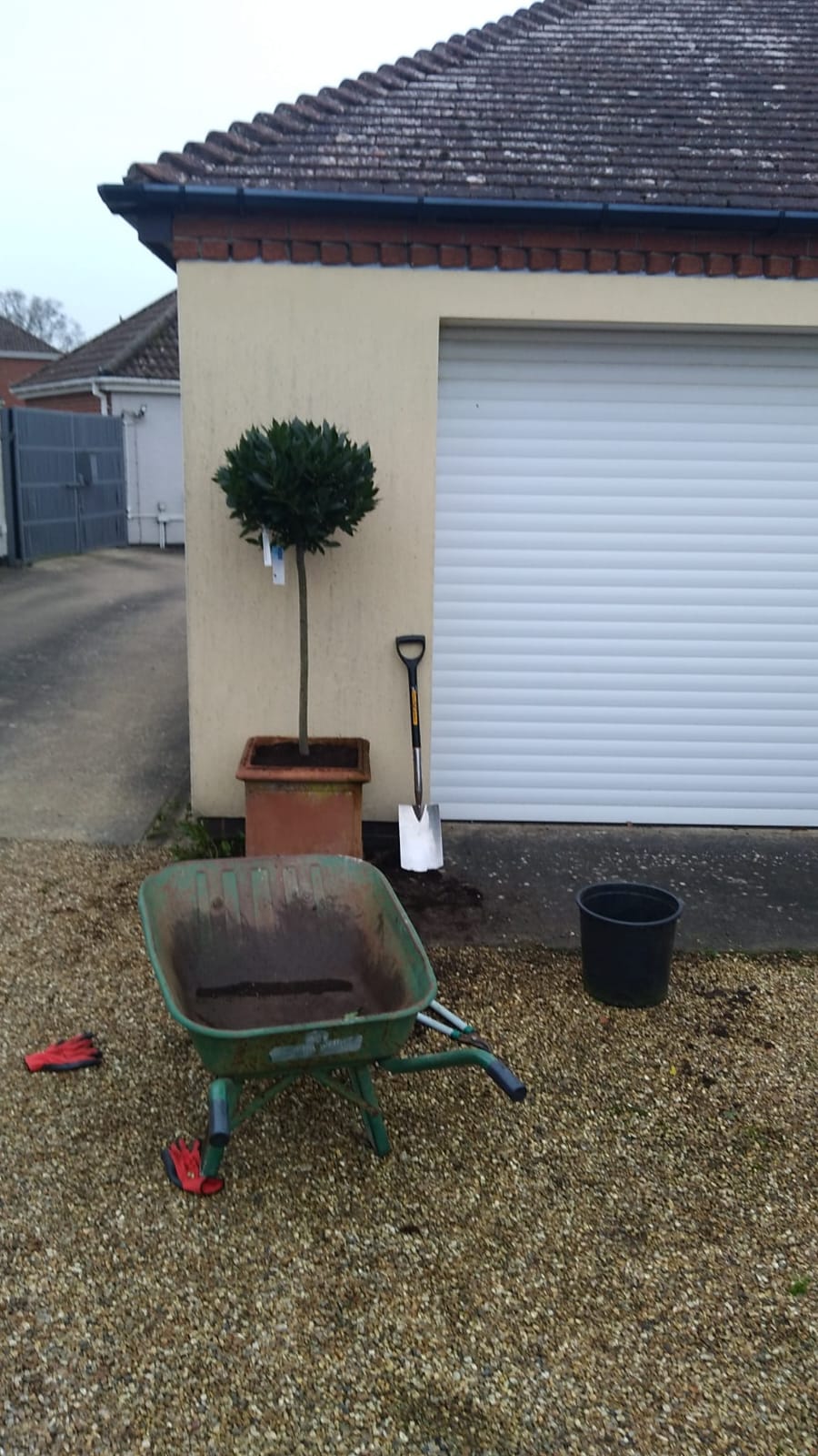 Garden Transformations - Image 4