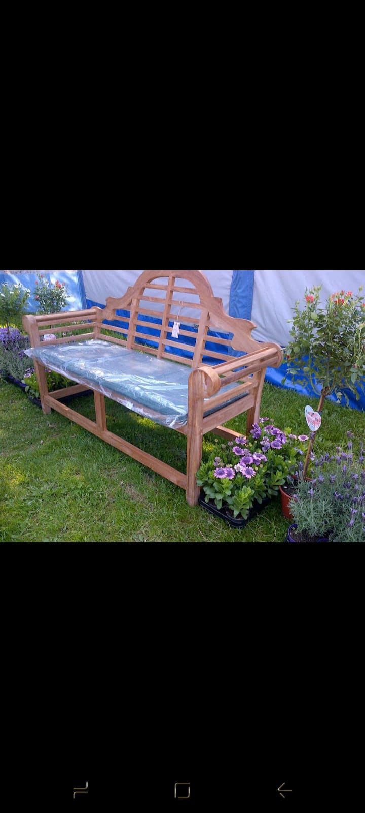 Plants & Trees - Image 50