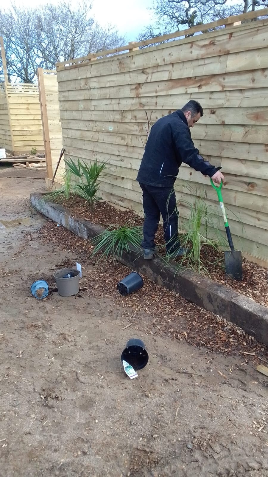 Border Planting & Features - Image 4