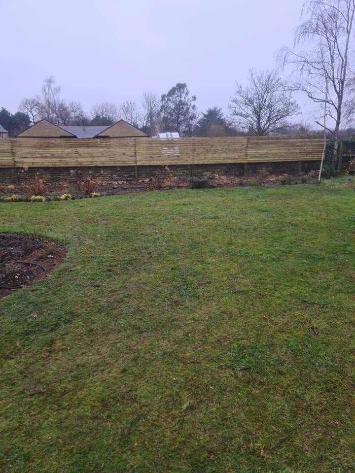 Garden Design - Gravel & Olive