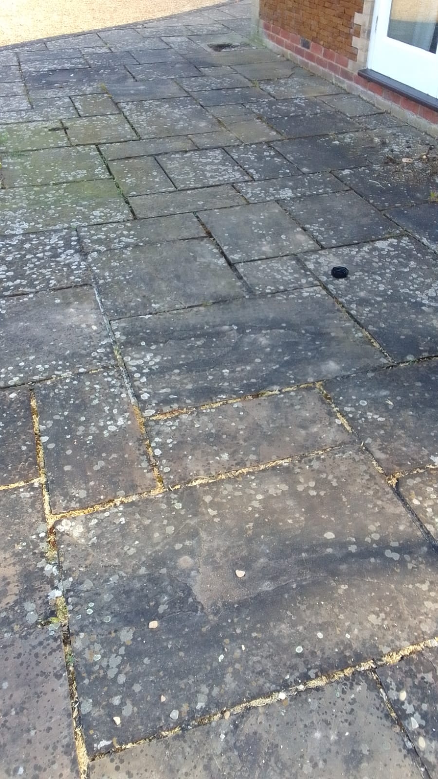 Bronze Garden Feature #85