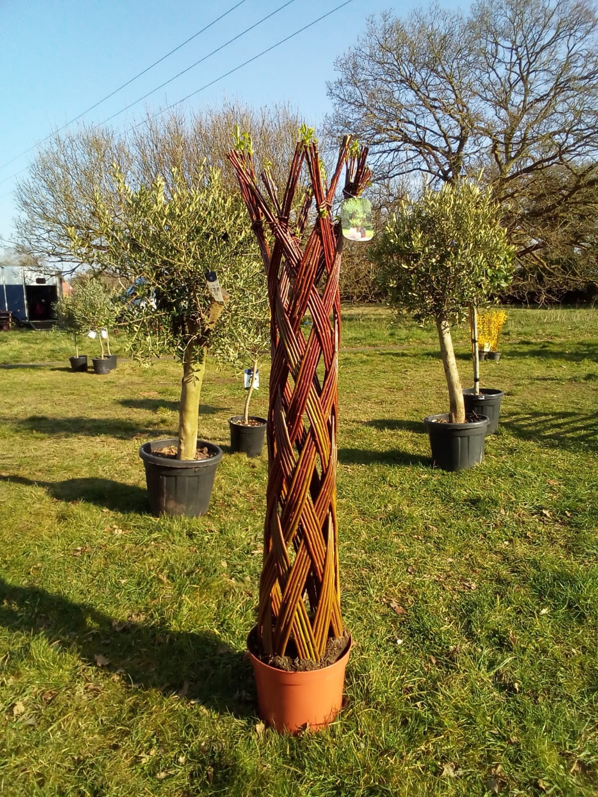 Bronze Crane Sculptures
