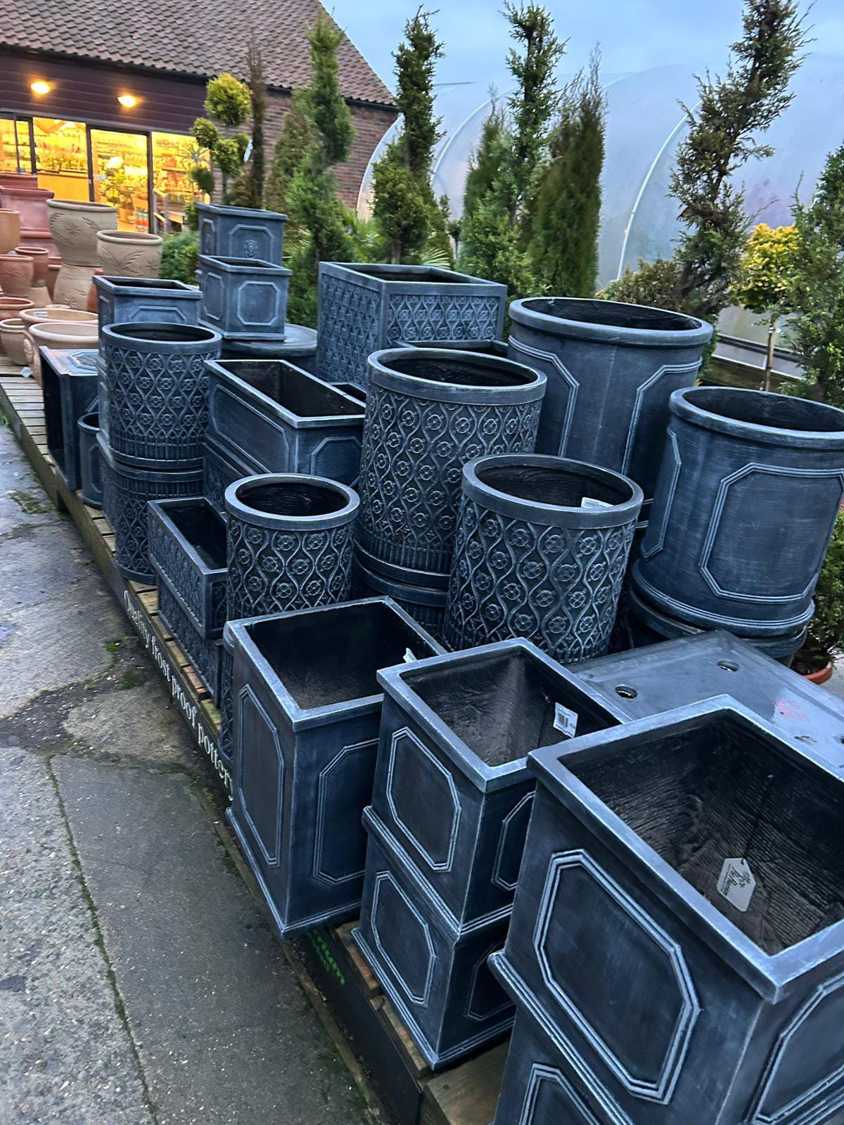Premium Garden Plant #141